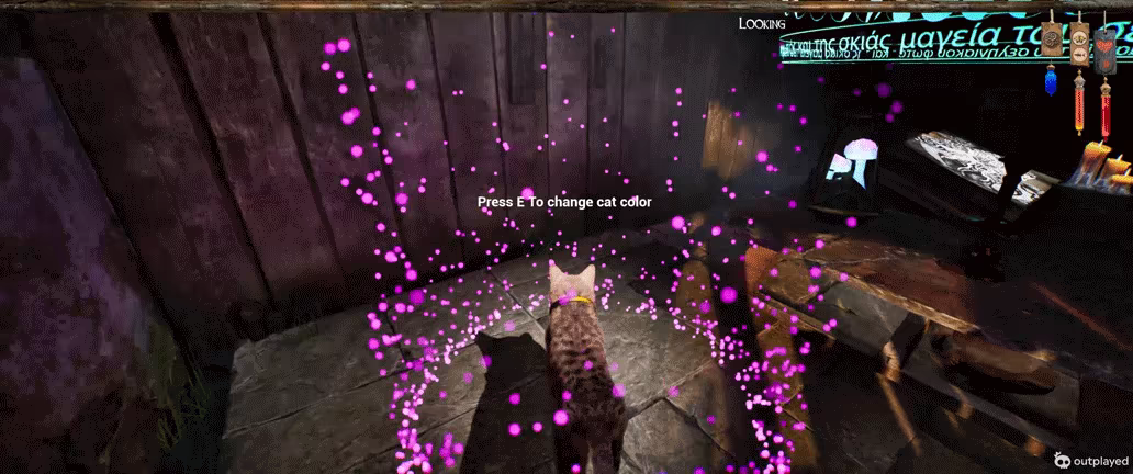 Meow Familiar World video 2