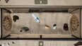 Screenshot #13