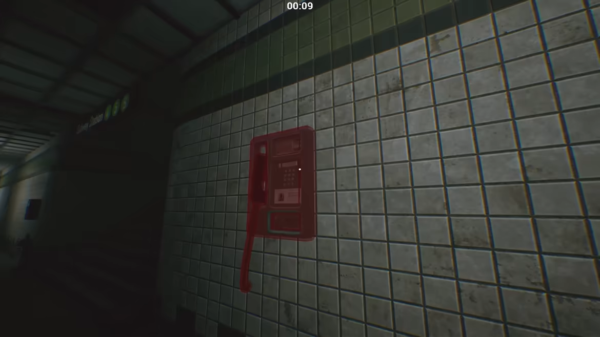 Platform Anomaly video 2