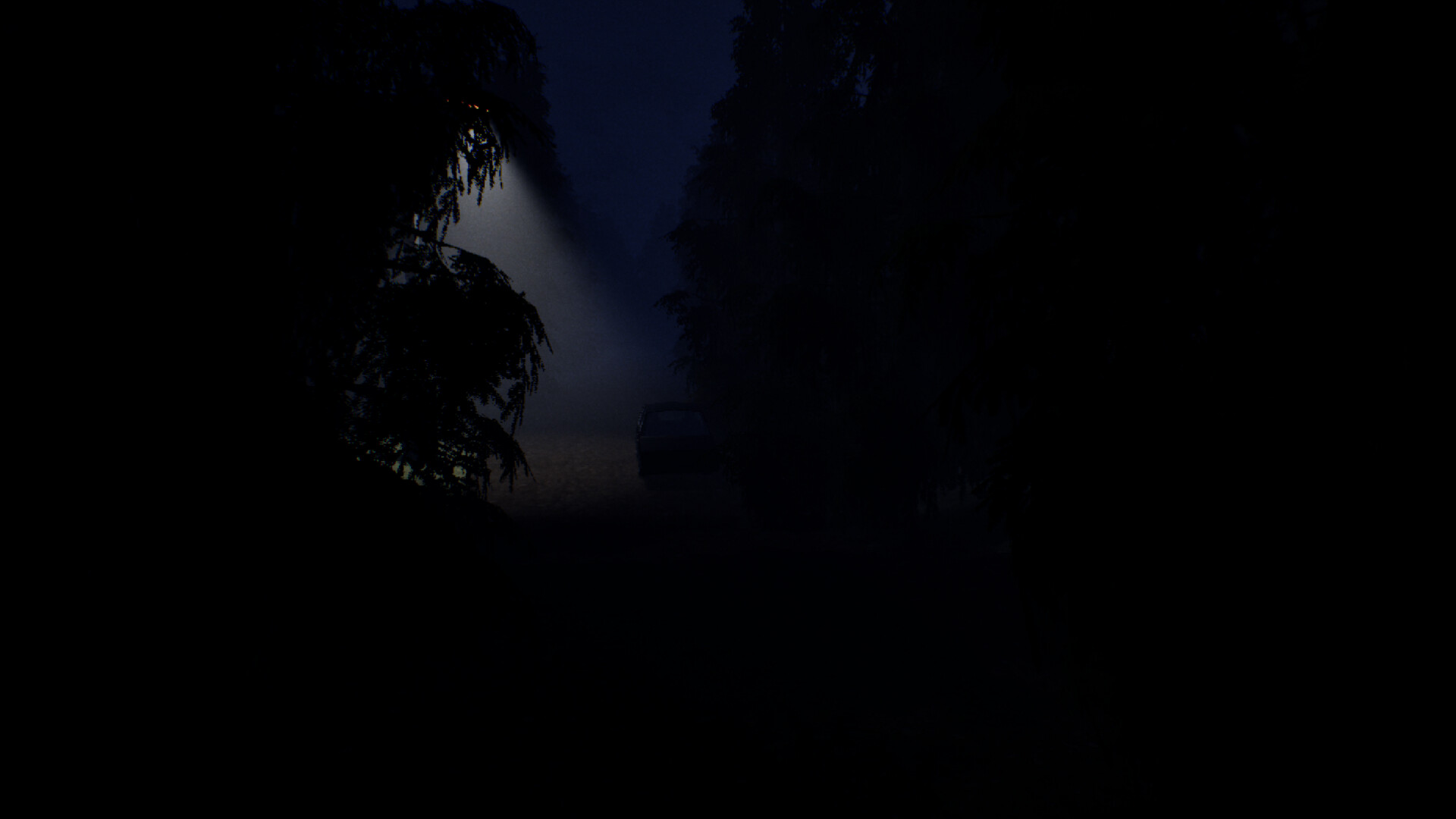 Silent Village screenshot #17