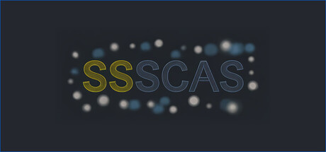 Scientific Software Solutions Capital Account System