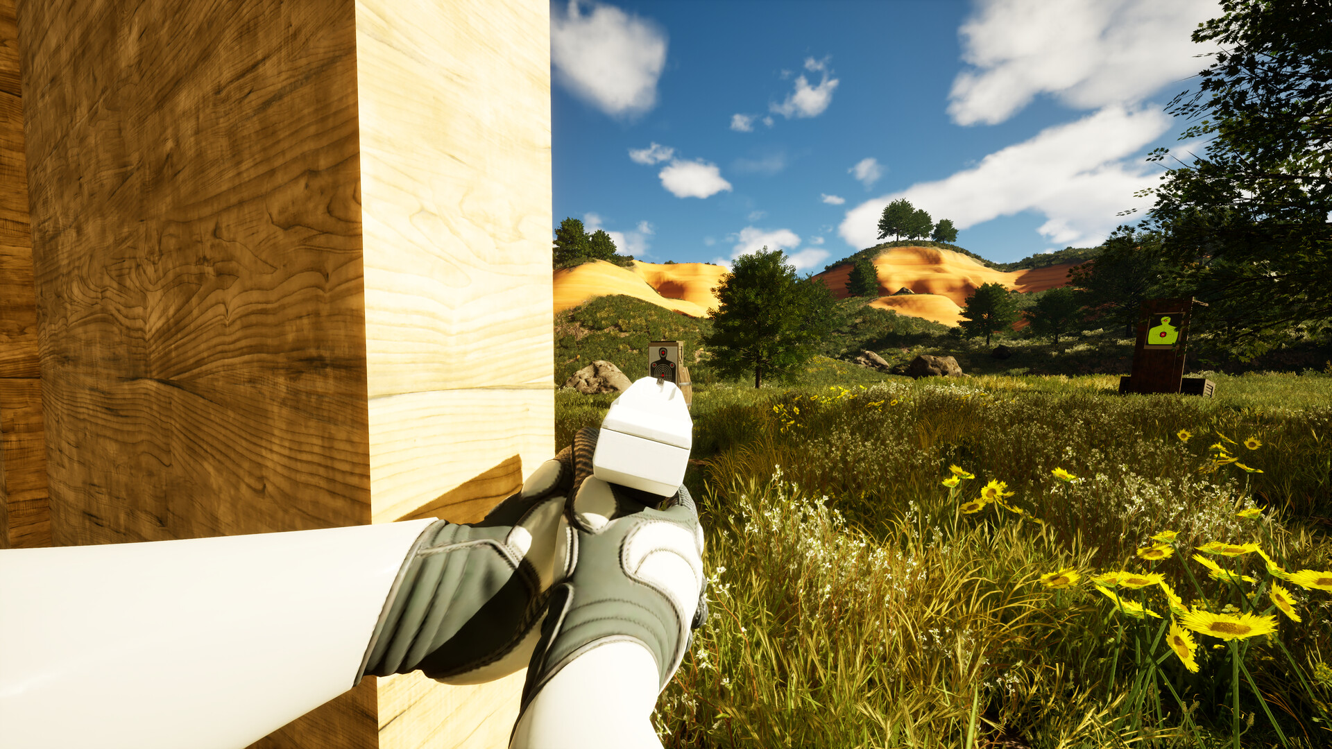 #5. Blank Canvas (Steam) Podle: N/A