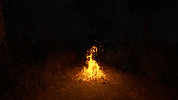 Đồng Cỏ Lau - The Reed Field