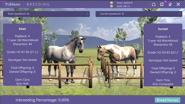 Tobiano