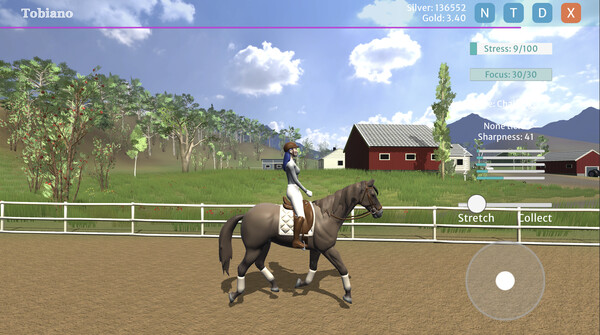 Tobiano screenshot 7