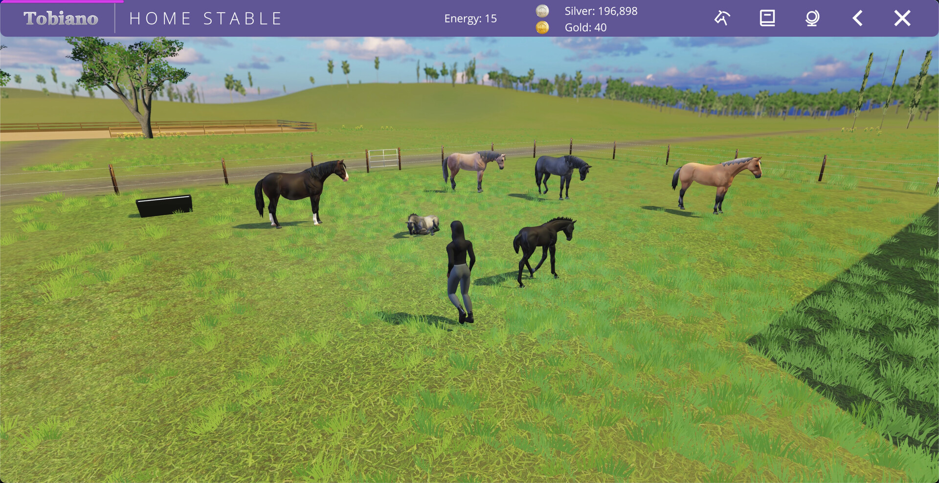 Tobiano screenshot 3
