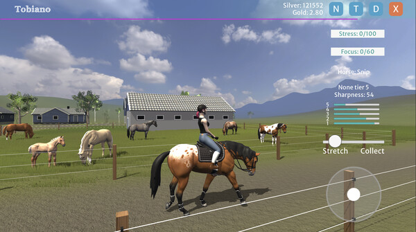 Tobiano screenshot 1