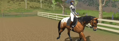 Tobiano video 5