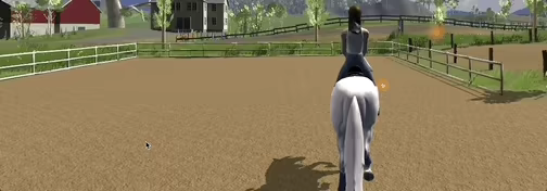 Tobiano video 3