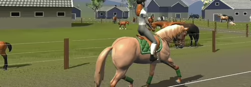 Tobiano video 1