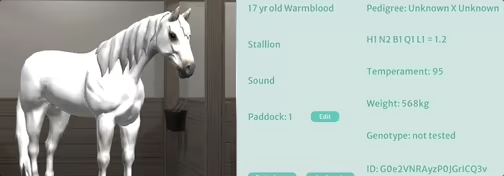 Tobiano video 6