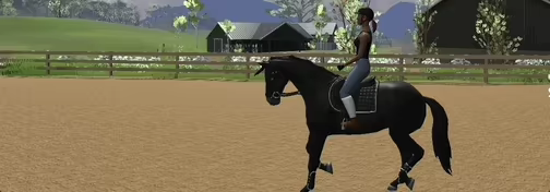 Tobiano video 4