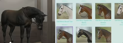 Tobiano video 8