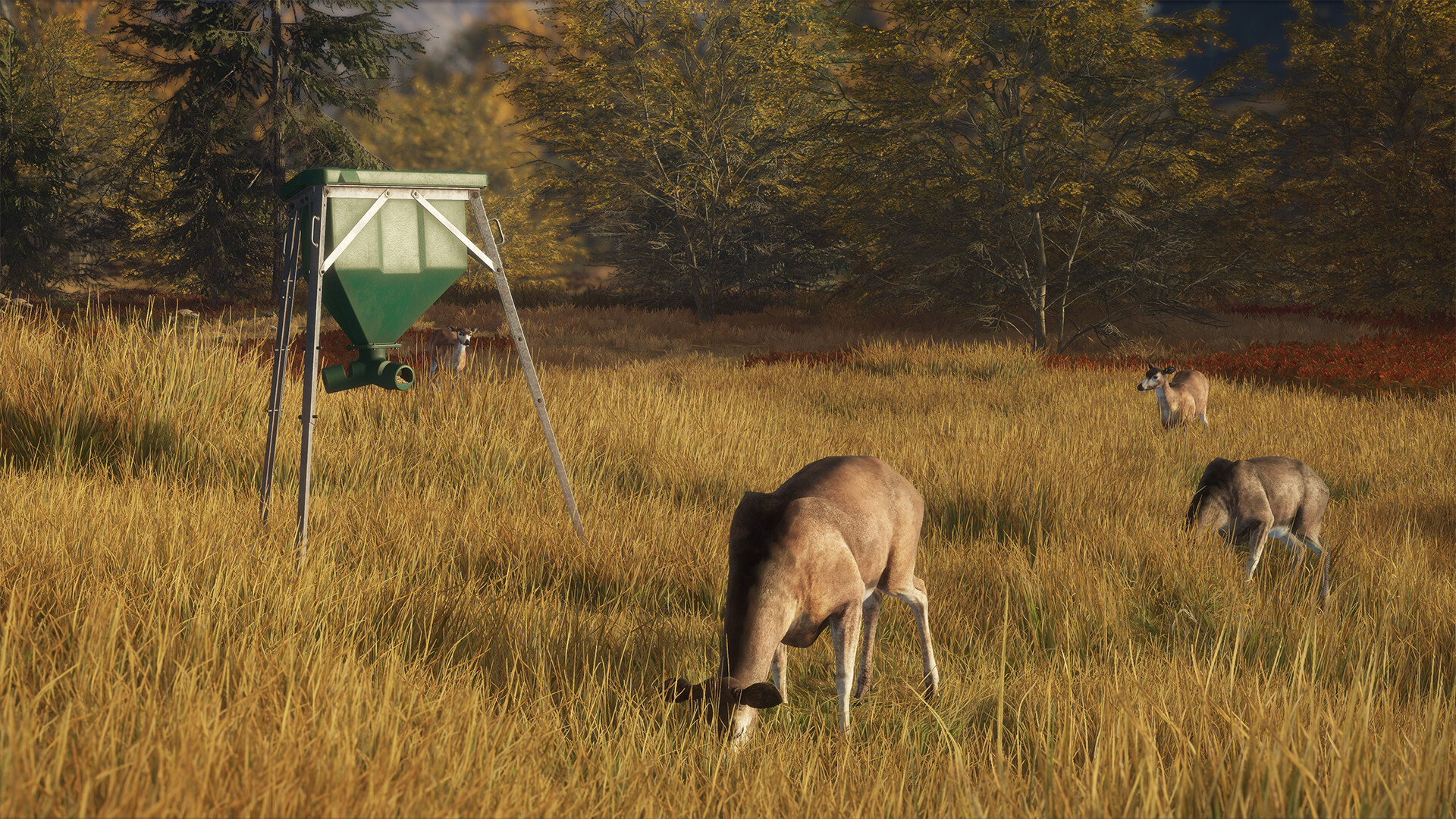 theHunter: Call of the Wild™ - Game Feeder Pack Featured Screenshot #1