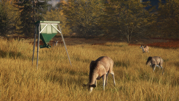 theHunter: Call of the Wild™ - Game Feeder Pack