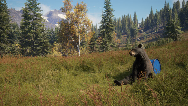 theHunter: Call of the Wild™ - Game Feeder Pack