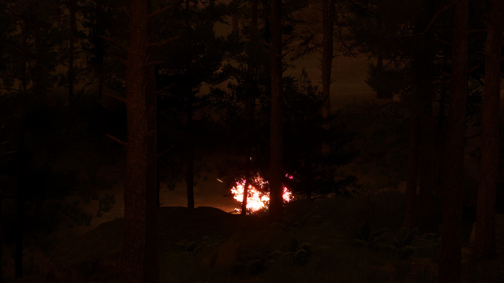 Shutter screenshot #8