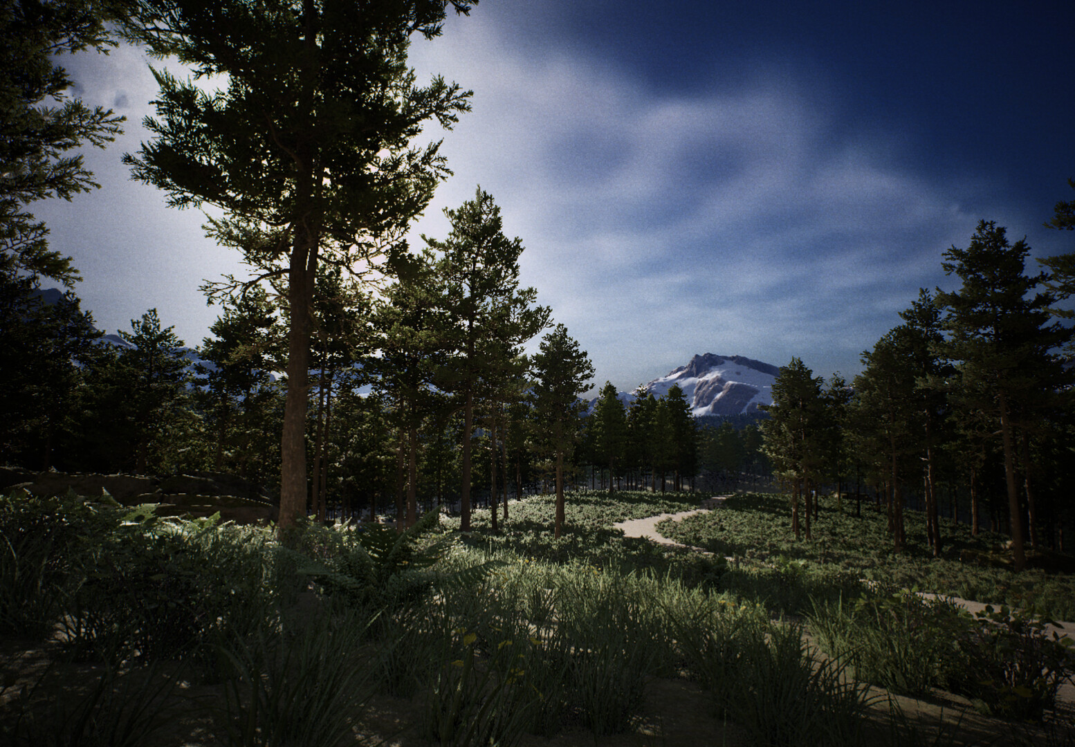 Shutter screenshot #1