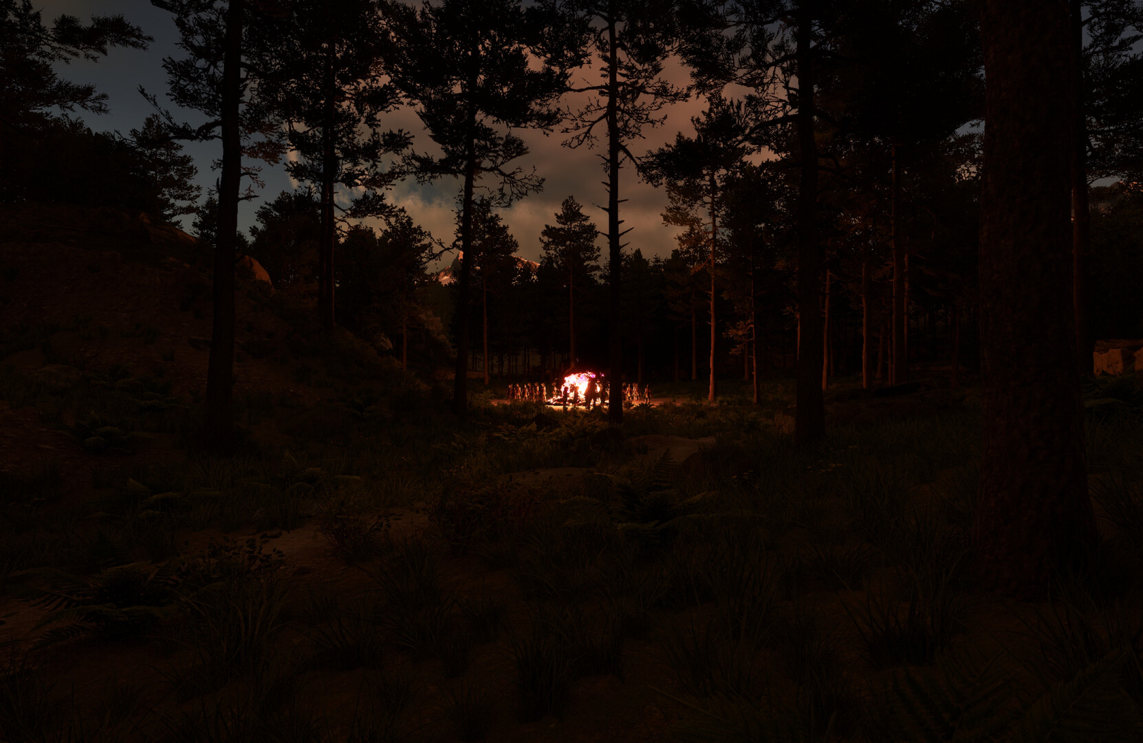 Shutter screenshot #9