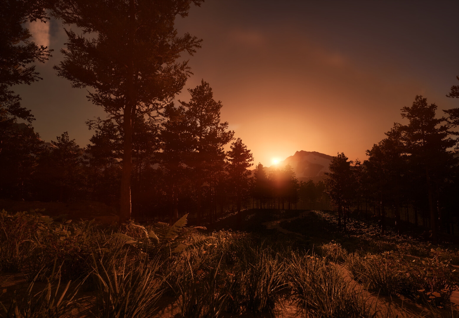 Shutter screenshot #5