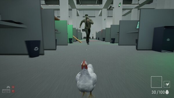 A Chicken In The Office.