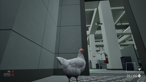 A Chicken In The Office.