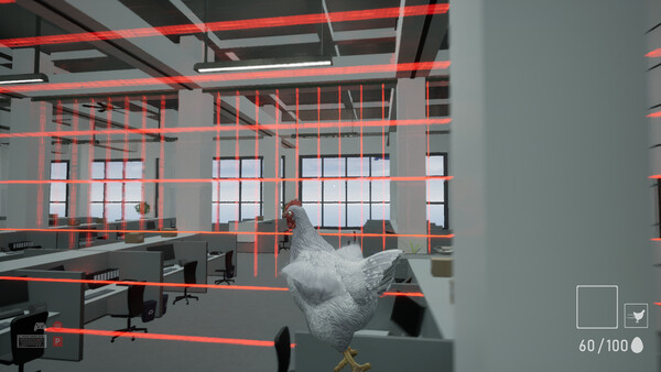 A Chicken In The Office.