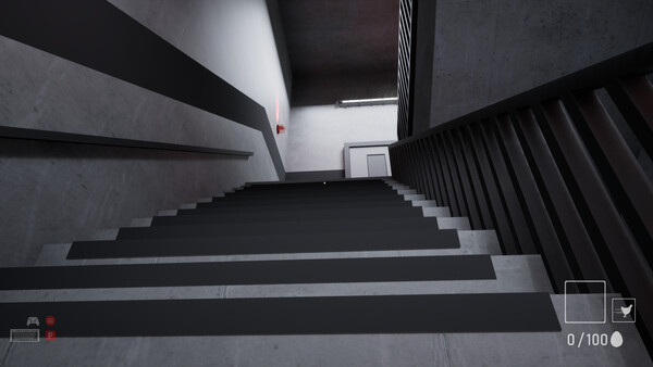 A Chicken In The Office.