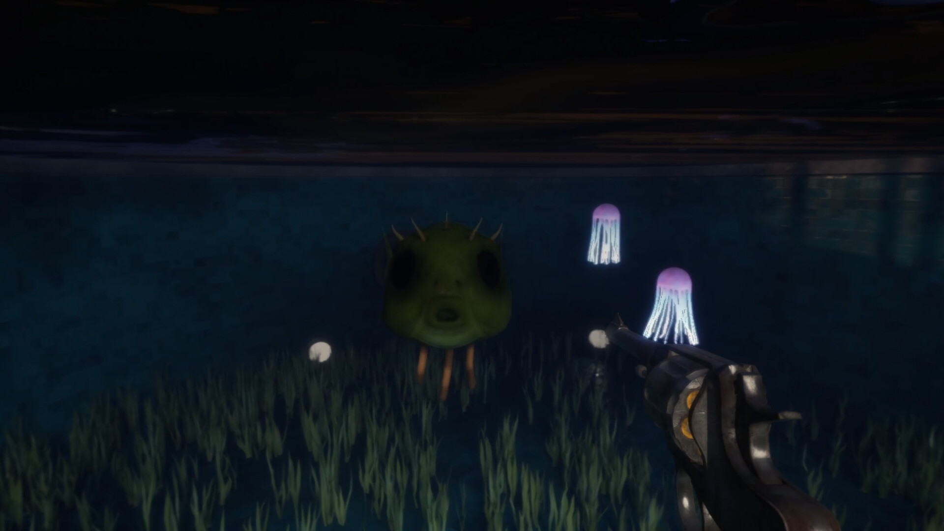 Fish Eyes screenshot #6