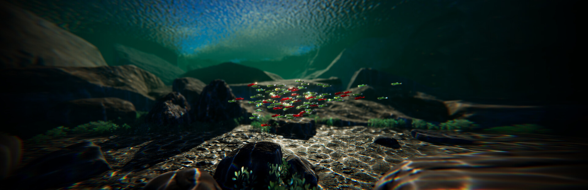 Fish Bash
