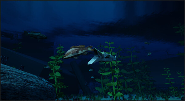 Tooth N' Fin