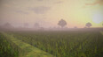 Screenshot #6