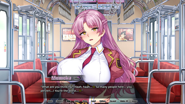 Secrets of a Porn Shop Princess game for windows Pc 1