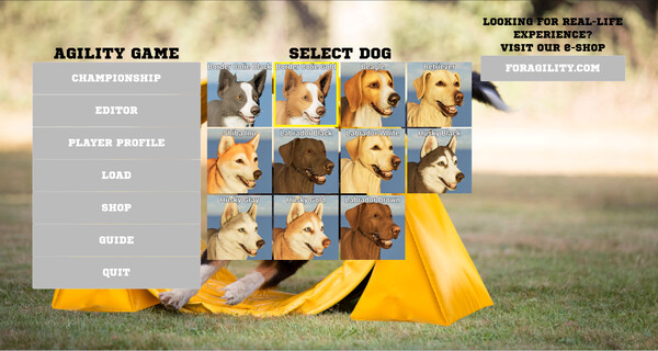 Скриншот из Agility Game Скриншот из Agility Game