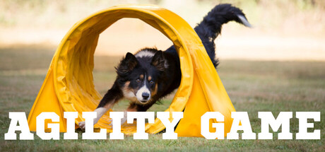 Agility Game header banner