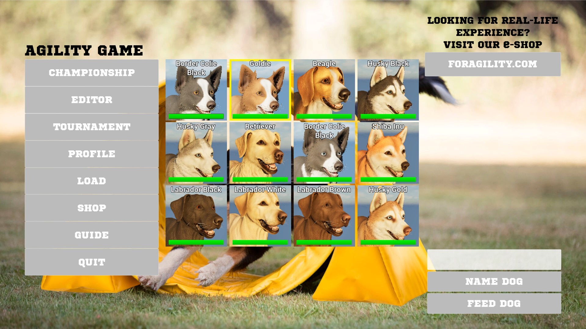 Agility Game screenshot #1