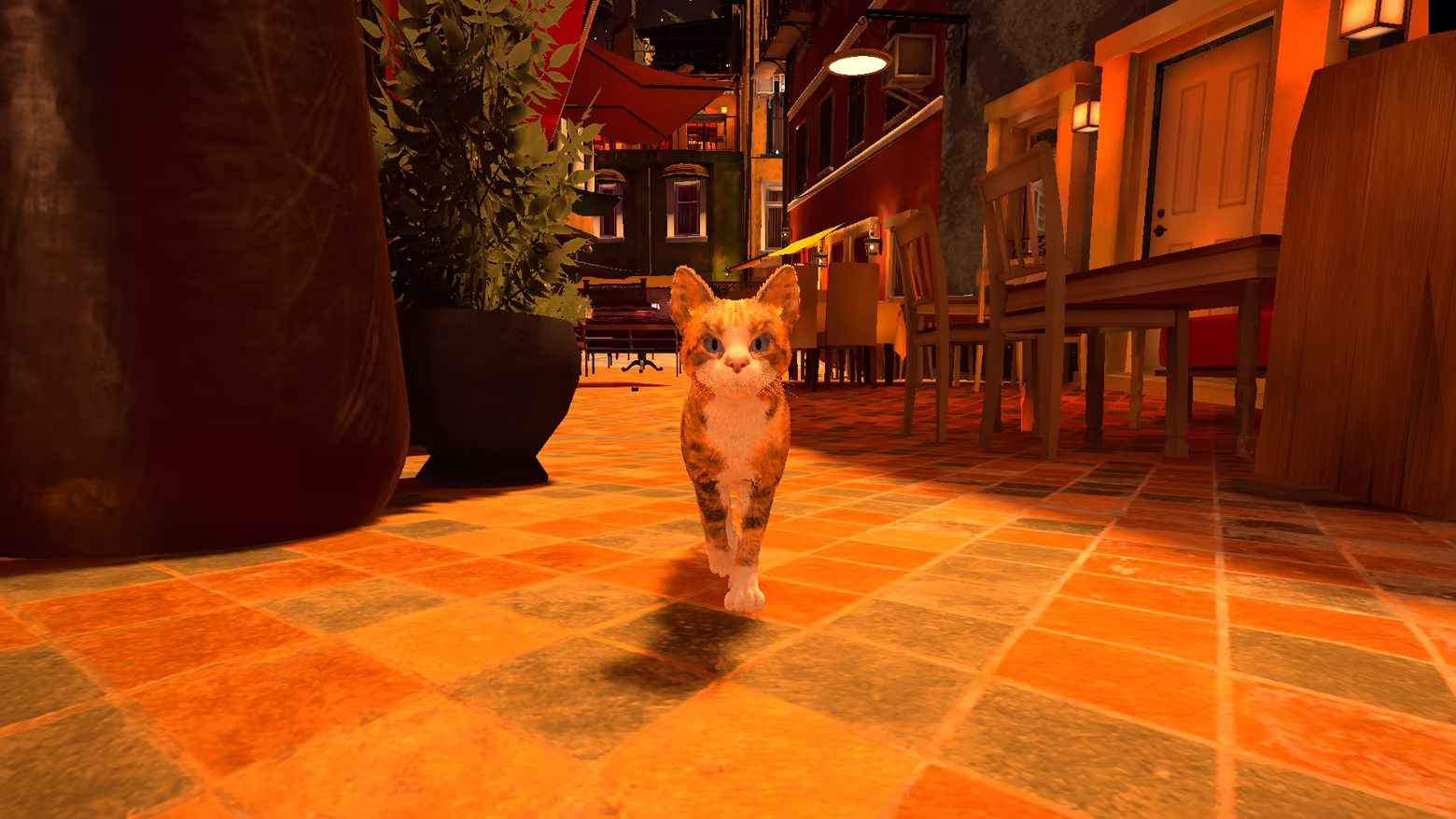 The mother cat walks toward the camera through a sunlit cafe lane.
