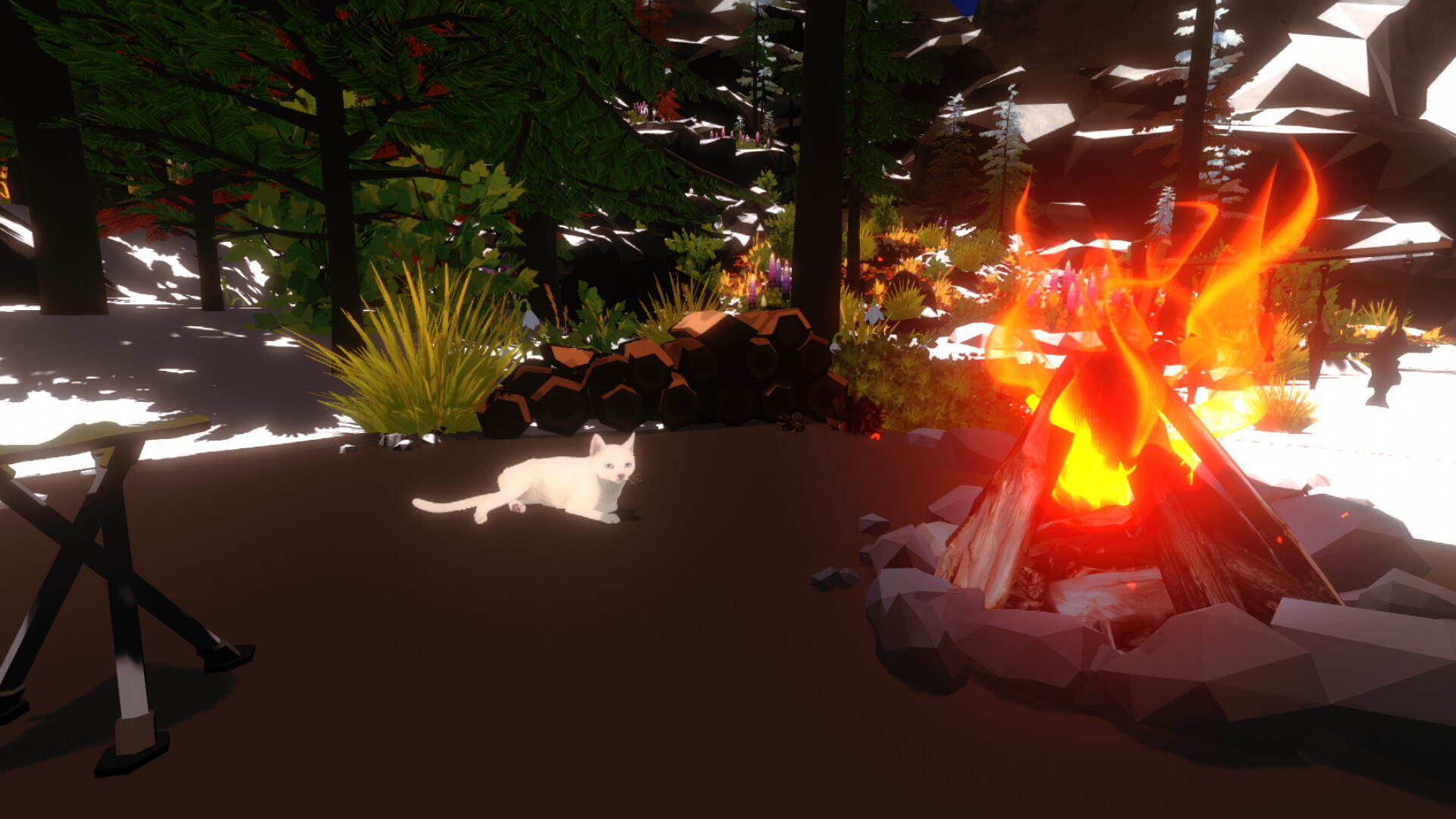 Campfire with Cat