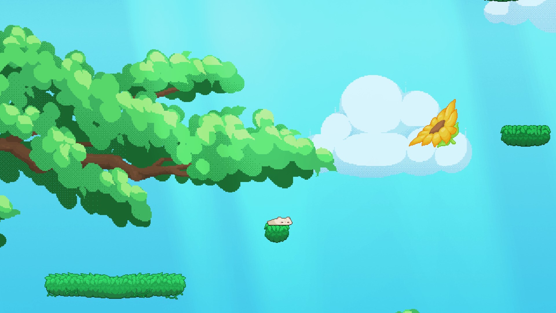 Hamstory screenshot #6