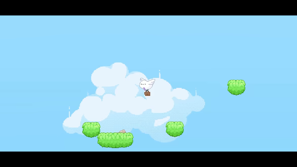 Hamstory video 4