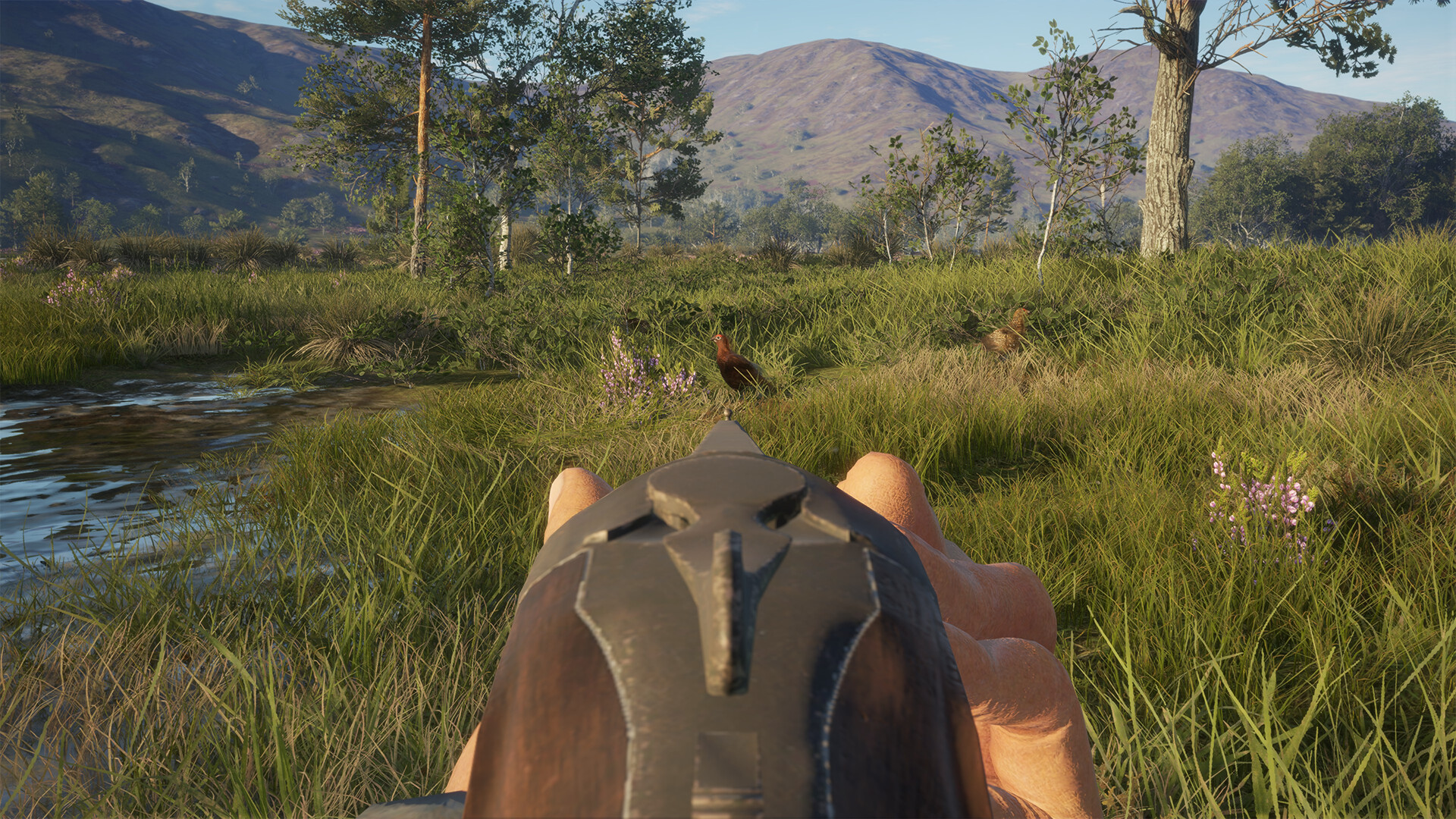 Screenshot 18