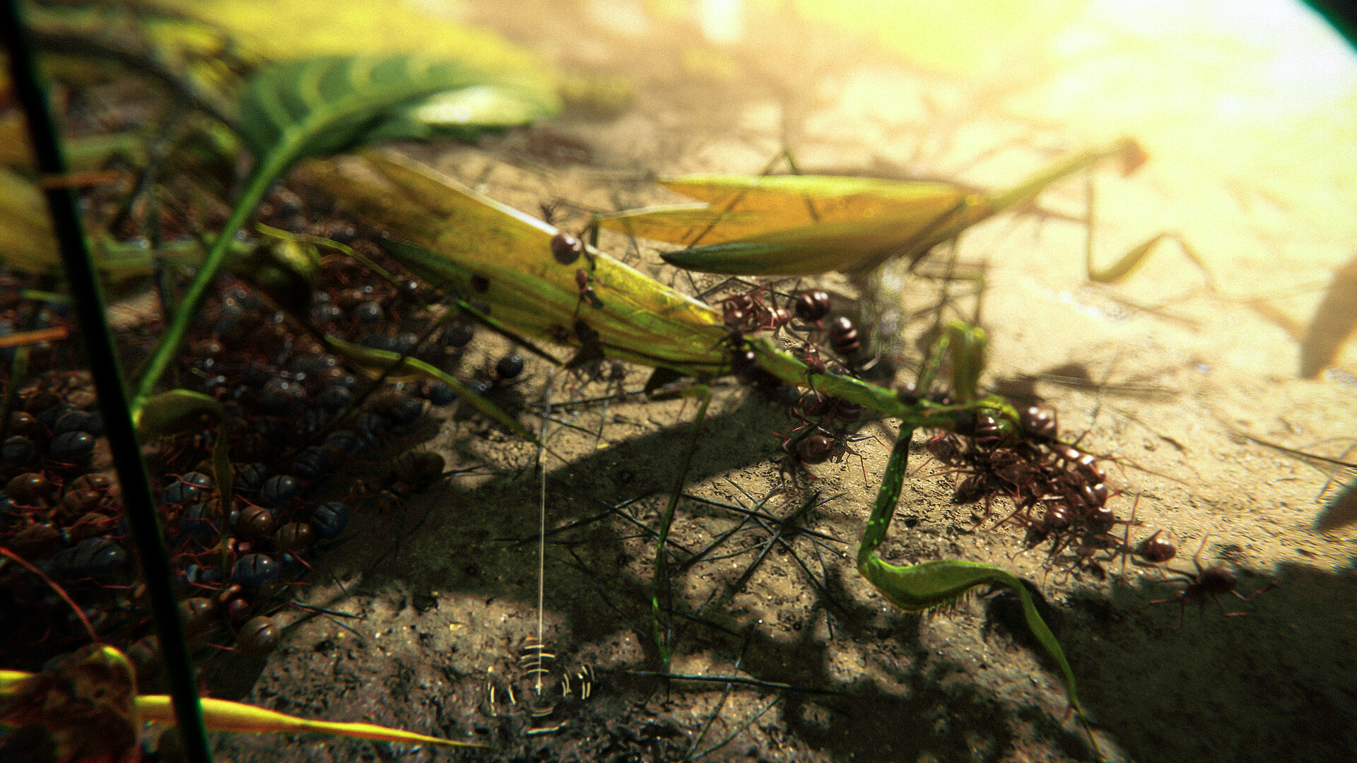 Ants Megapolis screenshot #7