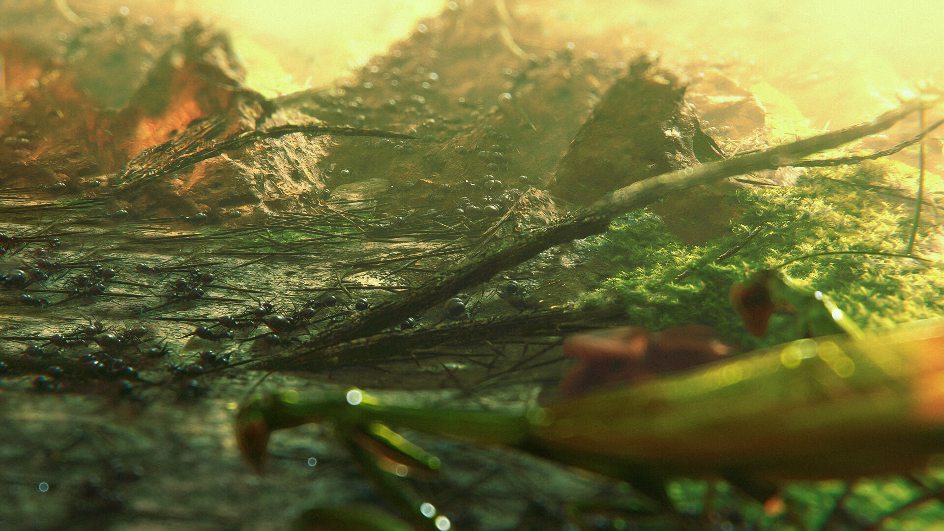 Ants Megapolis screenshot #6