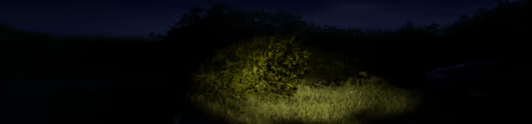 Noctis video 2