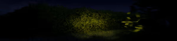 Noctis video 3
