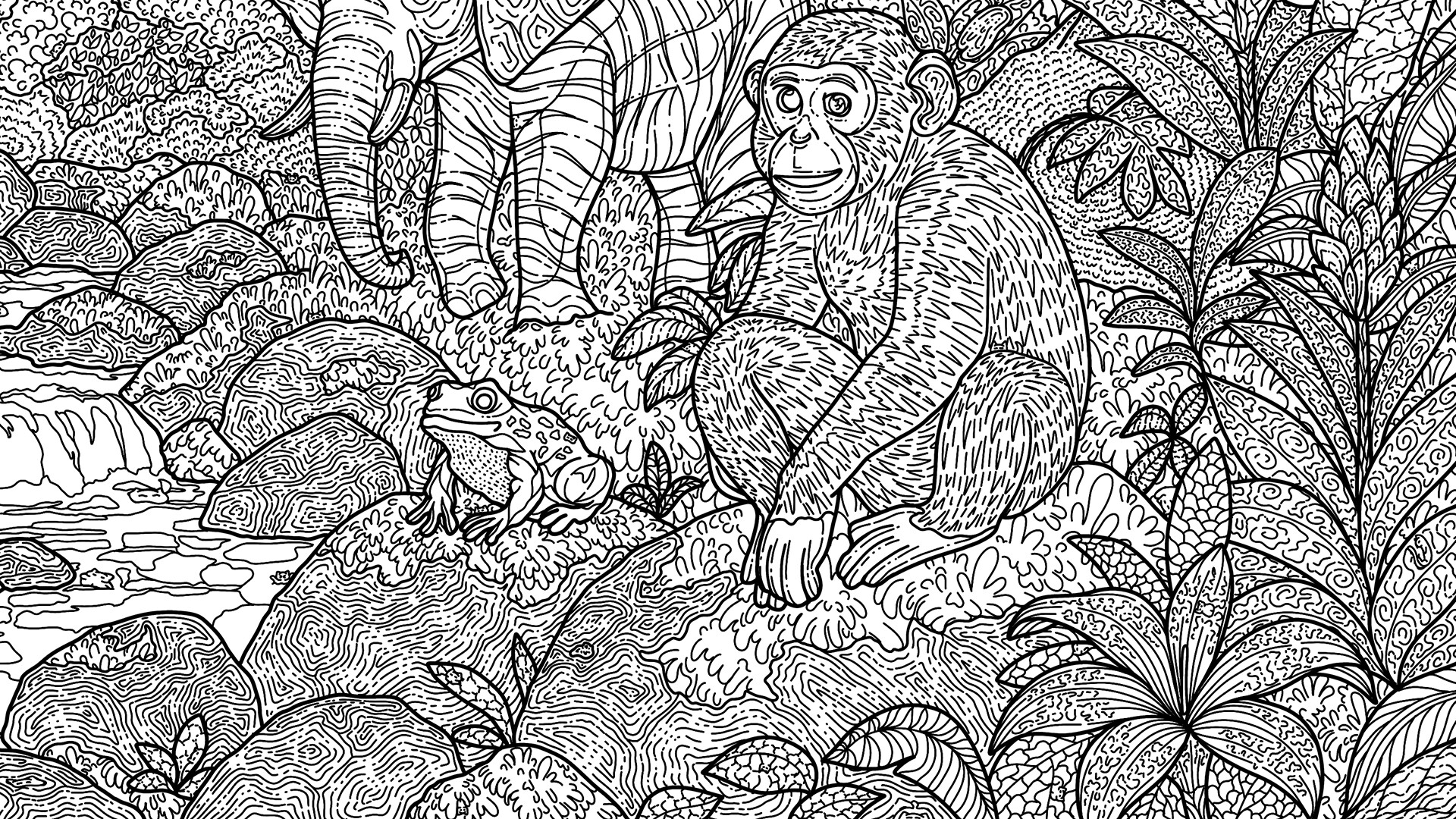 100 Jungle Cats screenshot #7