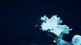 Screenshot #9