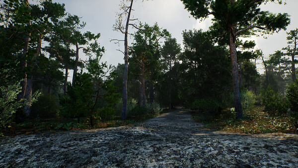 Kingdom of Poland: 1410 Demo screenshot 6