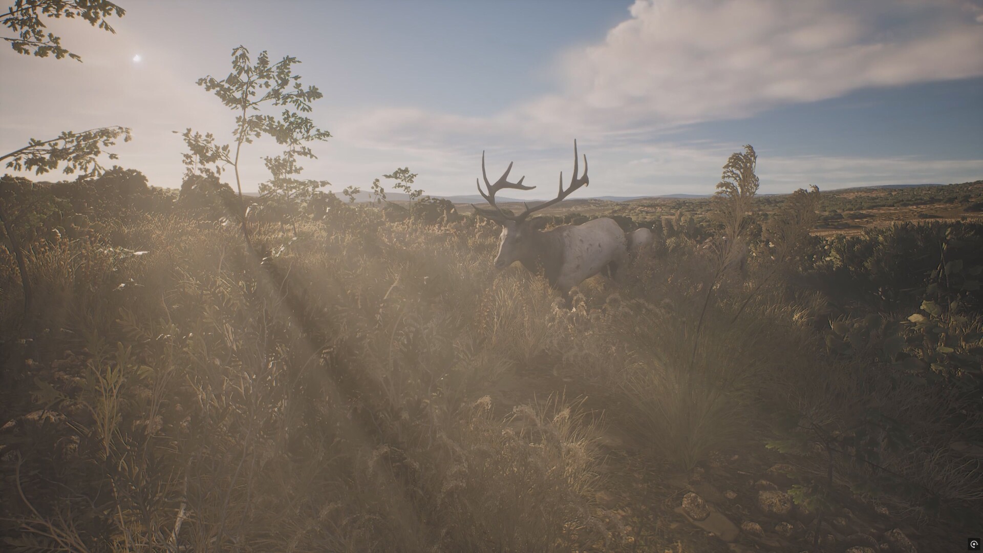 PROJECT HUNT - LONE STAR HUNTING RANCH screenshot