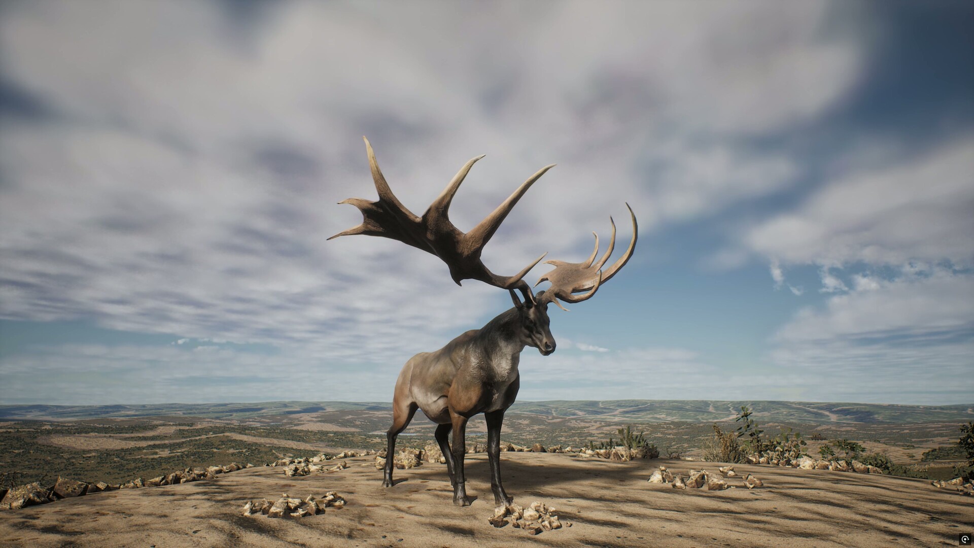 #10. PROJECT HUNT - LONE STAR HUNTING RANCH (Steam) 由: Mind Marvels